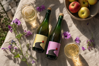 🍎 Økologisk Cider – Mest Hovmod