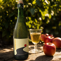 🍎 Økologisk Cider – Mest Hovmod