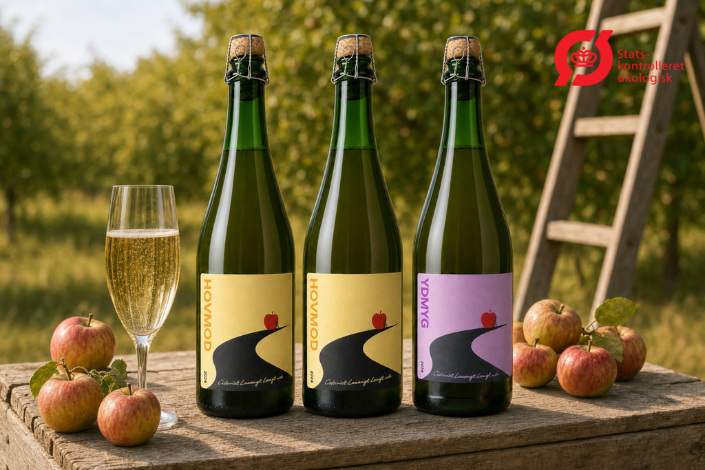 🍎 Økologisk Cider – Mest Hovmod