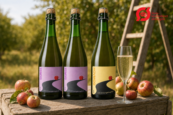 🍏 Økologisk Cider – Mest Ydmyg